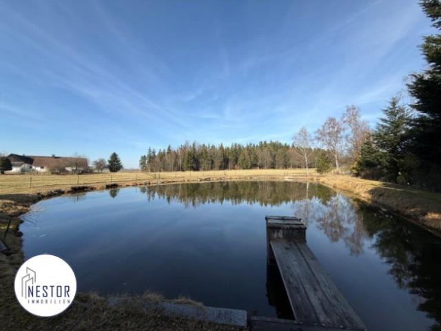 Einfamilienhaus kaufen in Brand-Nagelberg, Niederösterreich