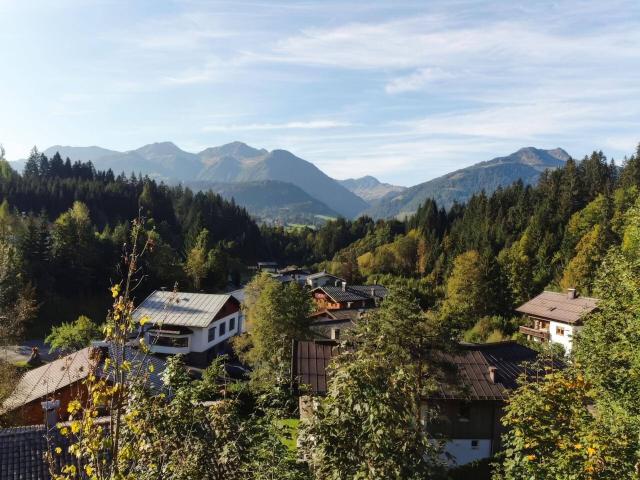 Apartment kaufen in St. Jakob in Haus, Tirol