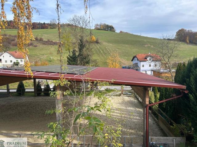 Haus kaufen in Hochneukirchen-Gschaidt, Niederösterreich