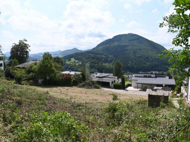 Immobilie kaufen in Waidhofen an der Ybbs, Niederösterreich