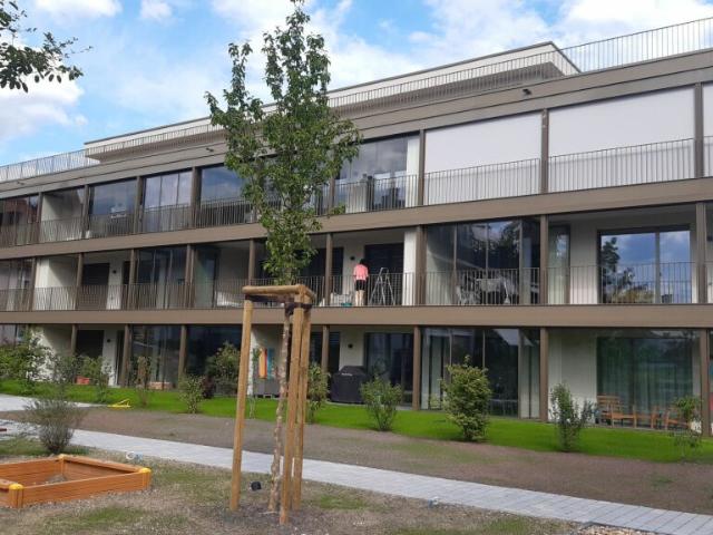 Wohnung mieten in Wettingen, Aargau
