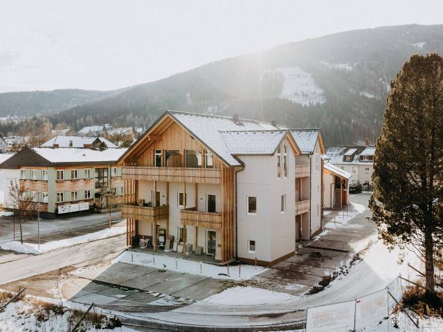 Apartment kaufen in Stadl an der Mur, Steiermark