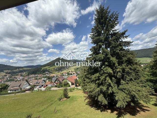 Apartment kaufen in Baiersbronn, Baden-Württemberg