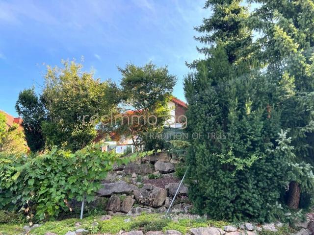 Einfamilienhaus kaufen in Zuzgen, Aargau