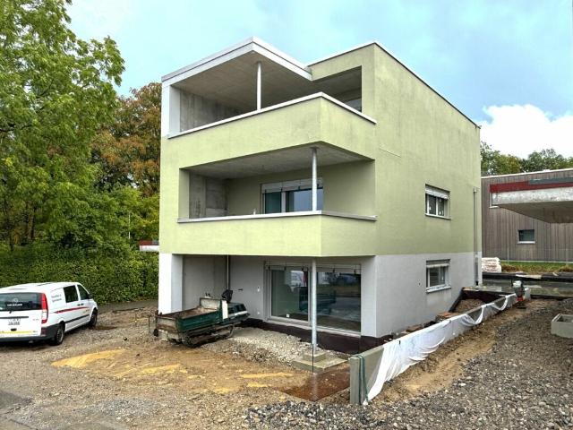 Einfamilienhaus kaufen in Seengen, Aargau