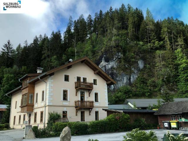 Apartment mieten in Vorderkrimml, Wald im Pinzgau