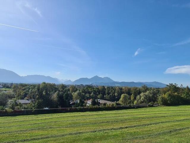 Apartment kaufen in Muntigl, Bergheim