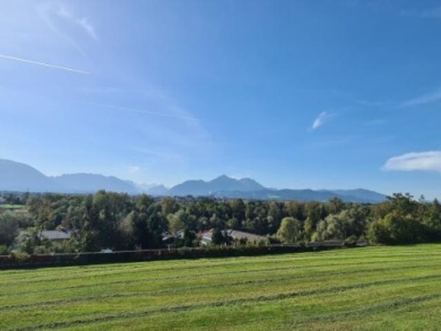 Immobilie kaufen in Bergheim, Salzburg