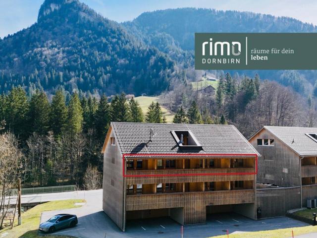 Apartment kaufen in Mellau, Vorarlberg