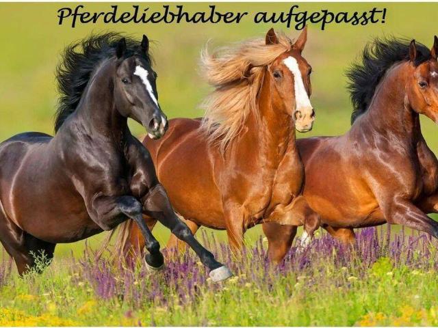 Haus kaufen in Oer-Erkenschwick, Oer