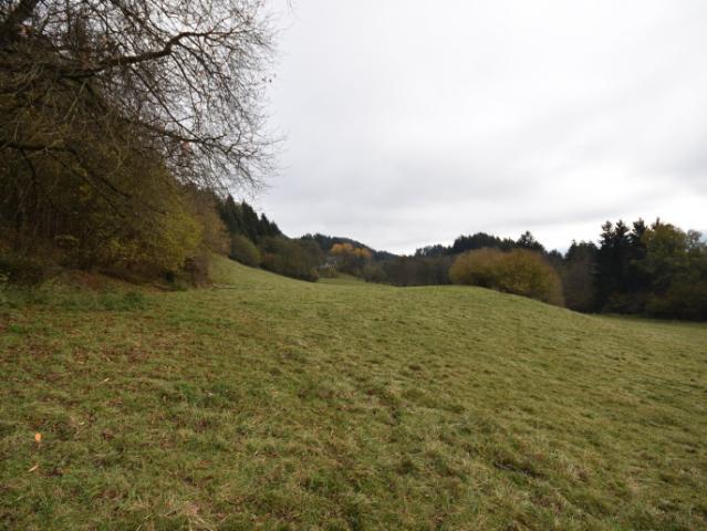 Immobilie kaufen in Spittal an der Drau, Kärnten