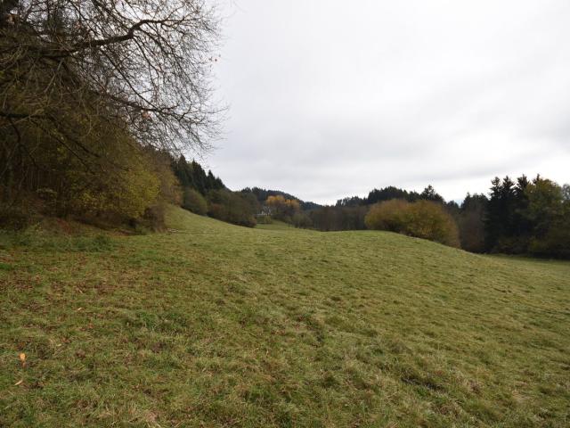 Landwirtschaft kaufen in Rothenthurn, Kärnten