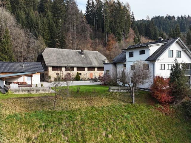 Immobilie kaufen in Spittal an der Drau, Kärnten