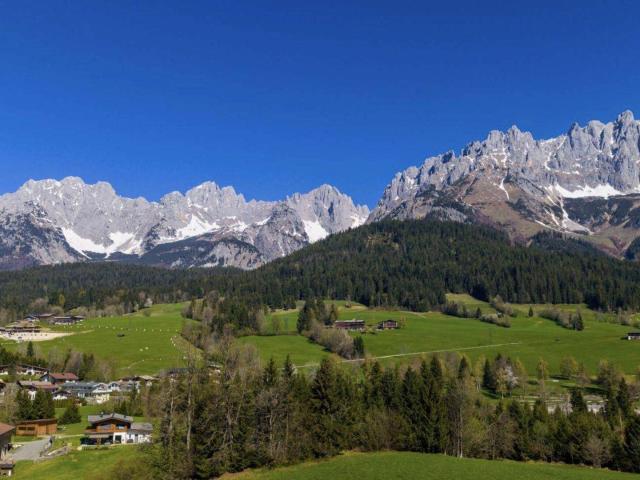 Immobilie kaufen in Going am Wilden Kaiser, Tirol