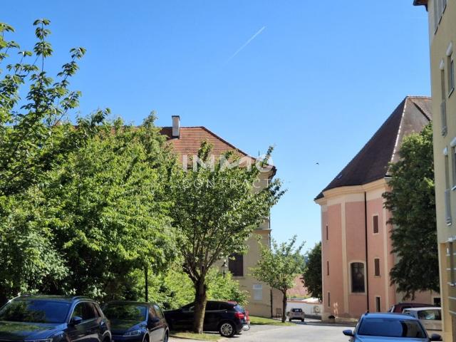 Grundstück kaufen in Pinkafeld, Burgenland