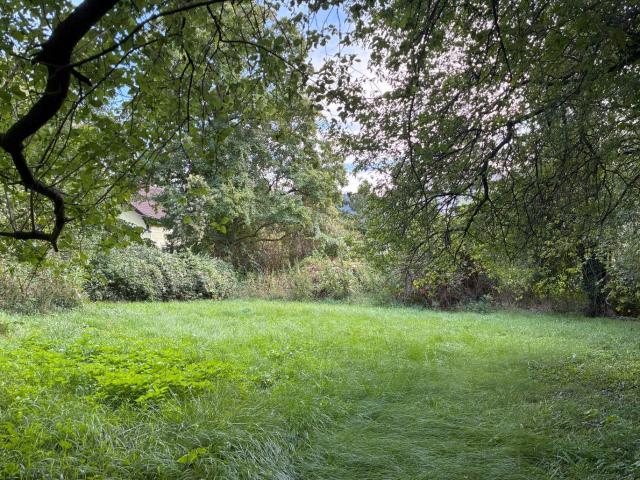 Grundstück kaufen in Hinterbrühl, Niederösterreich