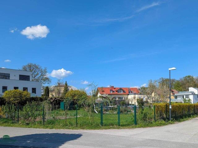 Immobilie kaufen in Neustadt, Salzburg