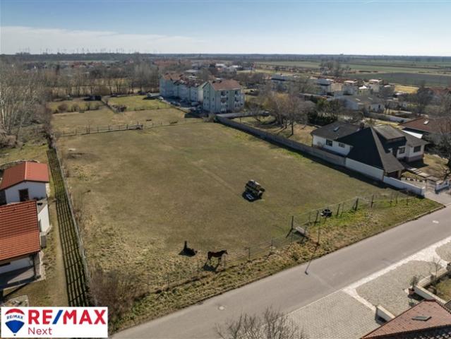 Grundstück kaufen in Gols, Burgenland