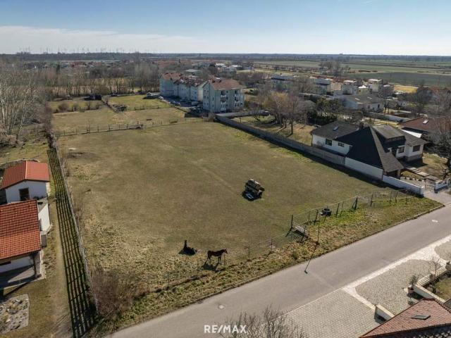 Grundstück kaufen in Neusiedl bei Güssing, Kukmirn