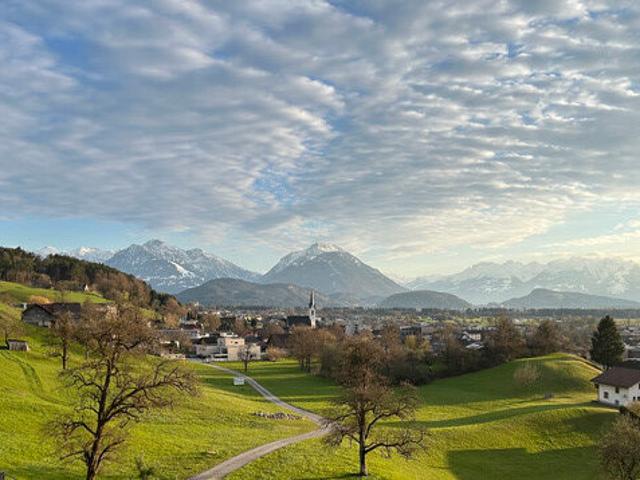 Grundstück kaufen in Weiler, Vorarlberg