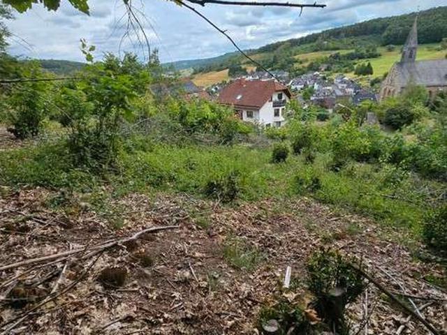 Erdgeschosswohnung kaufen in Herdorf, Landkreis Altenkirchen (Westerwald)