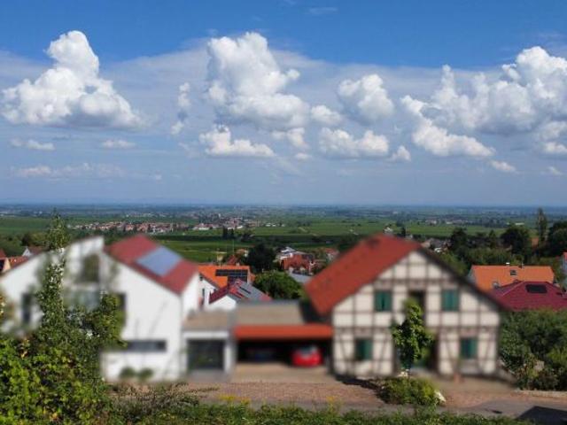 Erdgeschosswohnung kaufen in Burrweiler, Rheinland-Pfalz