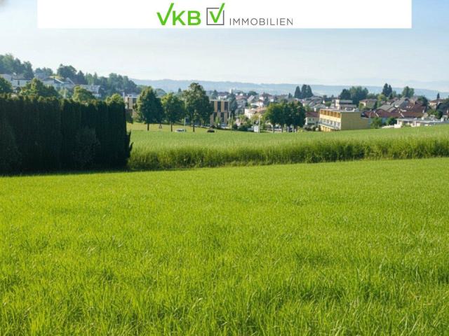 Immobilie kaufen in Holzheim, Leonding