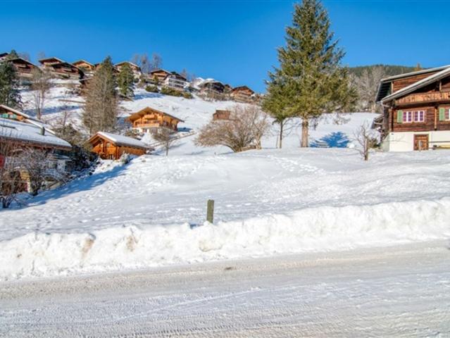 Wohnung kaufen in Grindelwald, Bern