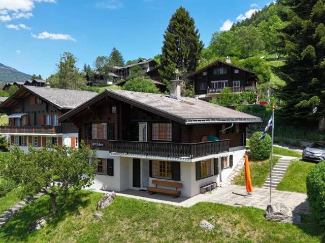 Haus kaufen in Ernen, Wallis