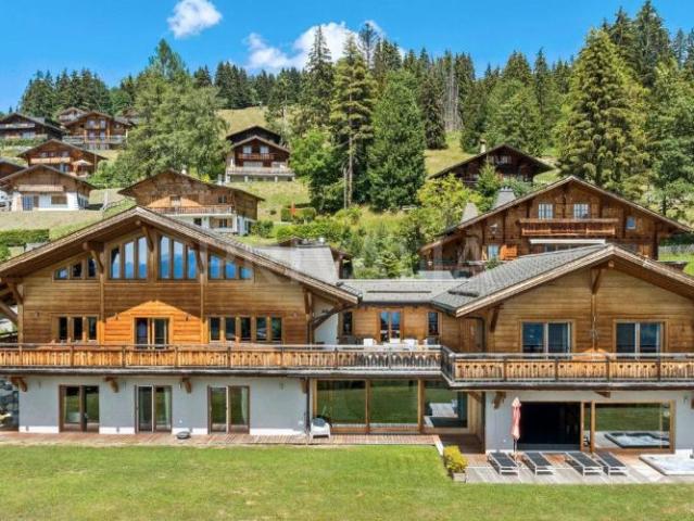 Haus kaufen in Gryon, Waadt