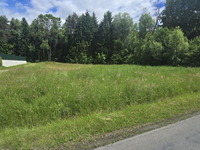 Grundstück kaufen in Neudau, Steiermark