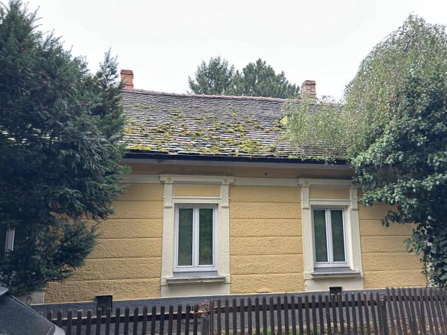 Haus kaufen in Langenzersdorf, Niederösterreich