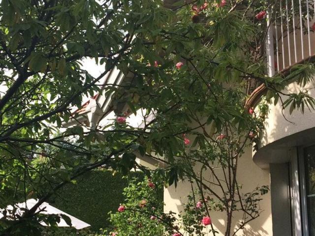 Haus kaufen in Gersdorf-Feistritz, Steiermark