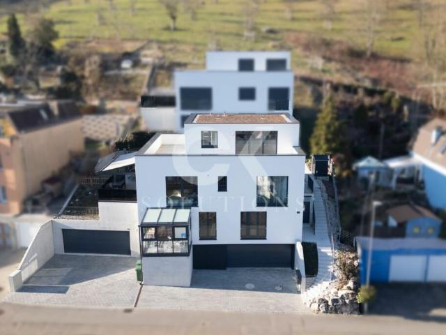 Einfamilienhaus kaufen in Lausen