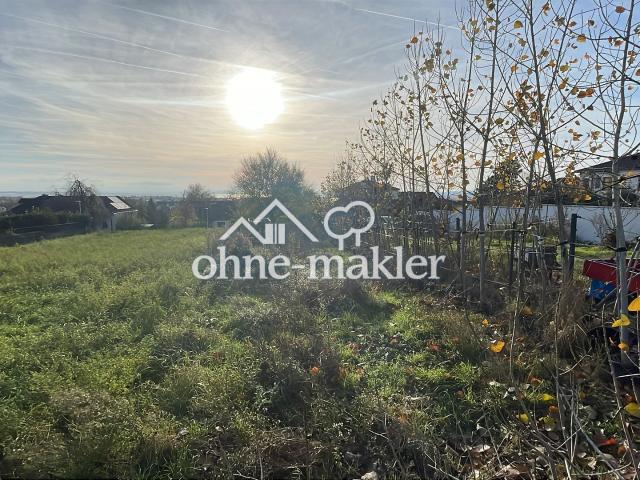 Immobilie kaufen in Neusiedl am See, Burgenland