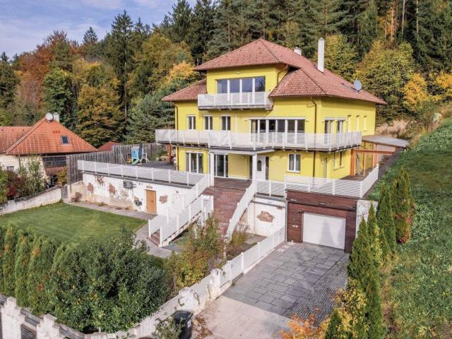 Haus kaufen in Lanzenkirchen, Niederösterreich
