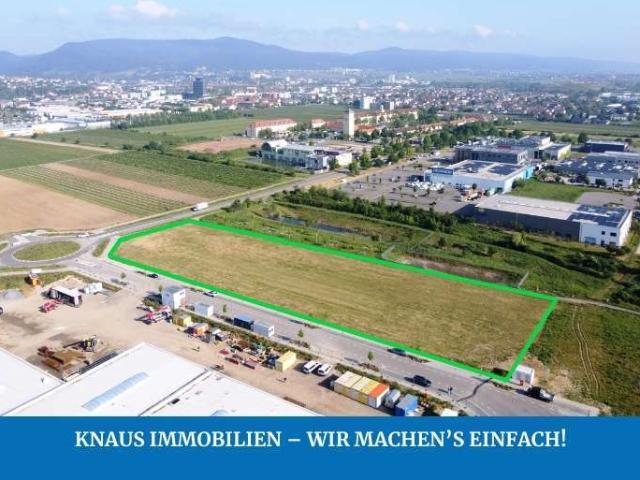 Erdgeschosswohnung kaufen in Neustadt an der Weinstraße