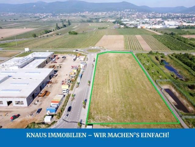 Erdgeschosswohnung kaufen in Neustadt an der Weinstraße