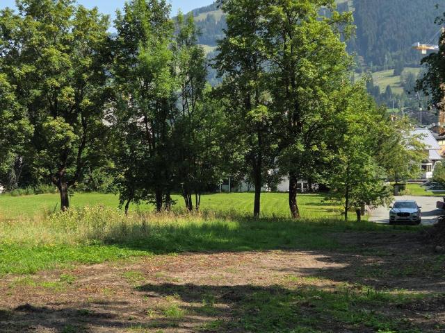 Immobilie kaufen in Aurach bei Kitzbühel, Tirol