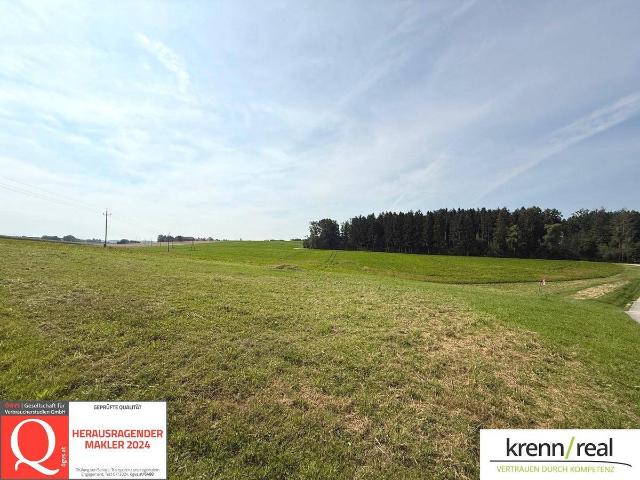 Immobilie kaufen in Adlwang, Oberösterreich