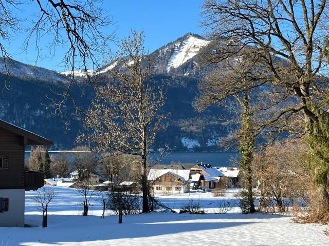 Immobilie kaufen in Salzburg