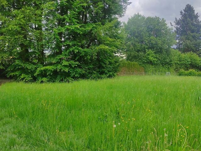 Erdgeschosswohnung kaufen in Bad Saulgau, Baden-Württemberg