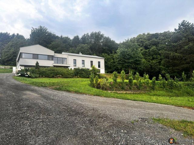 Haus kaufen in Steinriegelsiedlung, Rotenturm an der Pinka