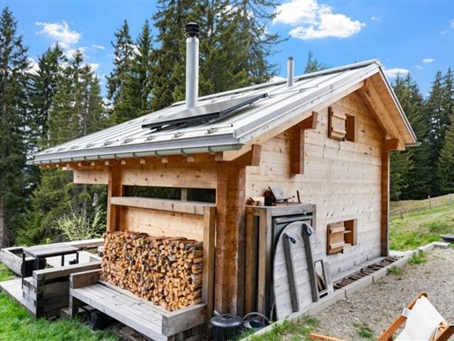 Einfamilienhaus kaufen in Pigniu, Graubünden