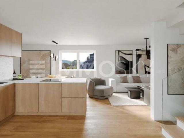 Maisonette kaufen in Sihlfeld, Zürich