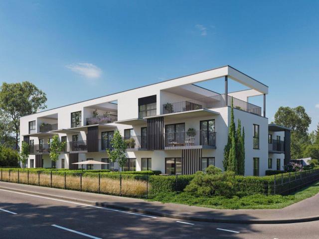 Apartment kaufen in Liebenau, Gersdorf-Feistritz