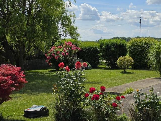 Einfamilienhaus kaufen in Niederösterreich