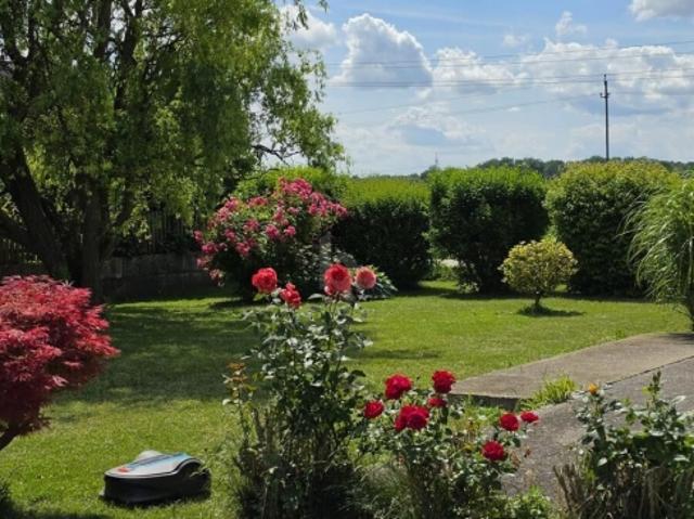 Einfamilienhaus kaufen in St. Pantaleon, Niederösterreich
