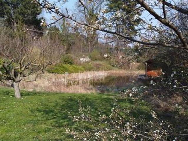 Haus kaufen in Maria Enzersdorf, Niederösterreich