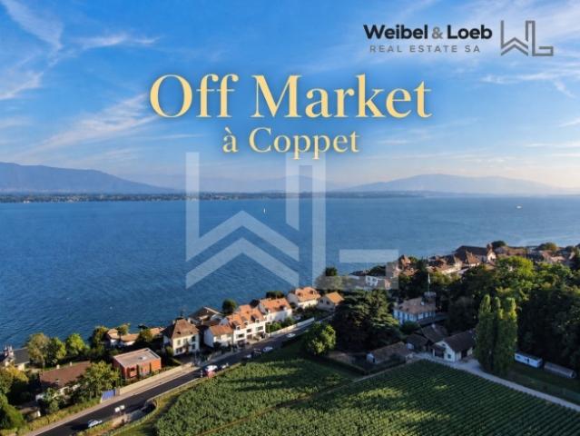 Einfamilienhaus kaufen in Coppet, District de Nyon